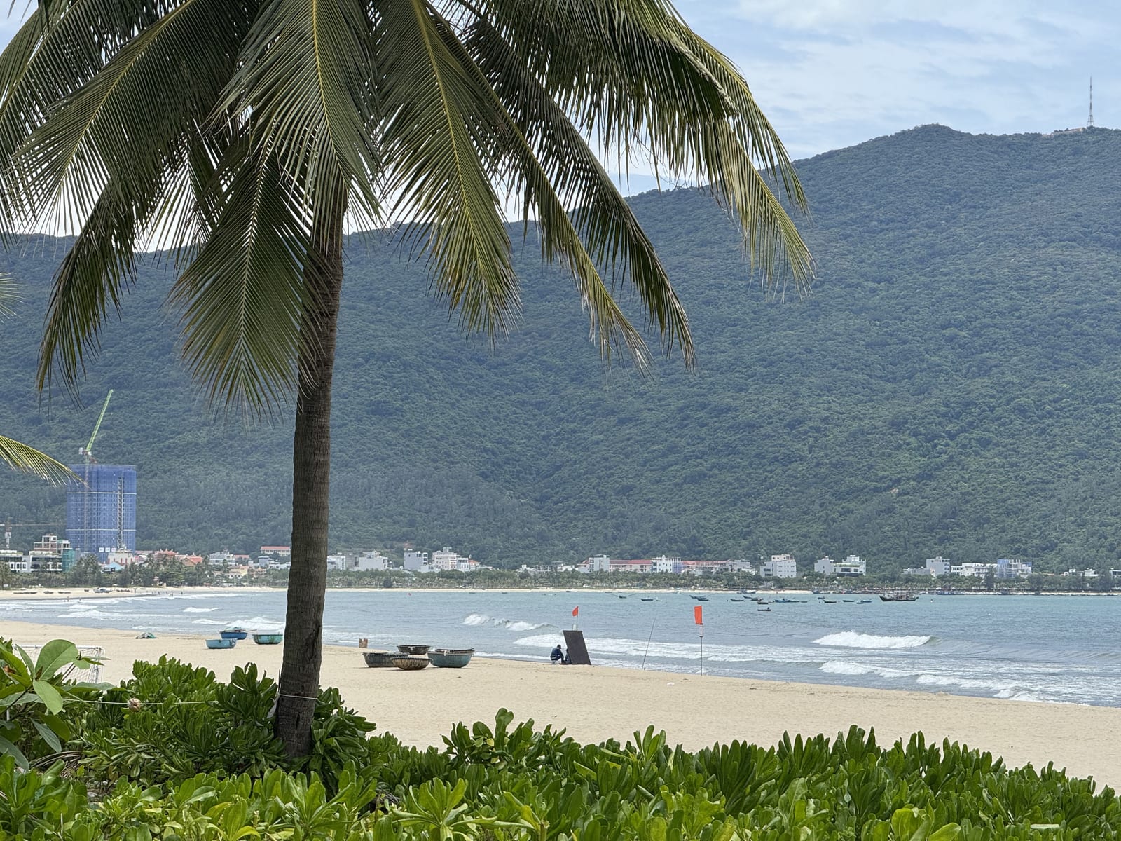 La playa del norte de Da Nang con una palmera en primer plano