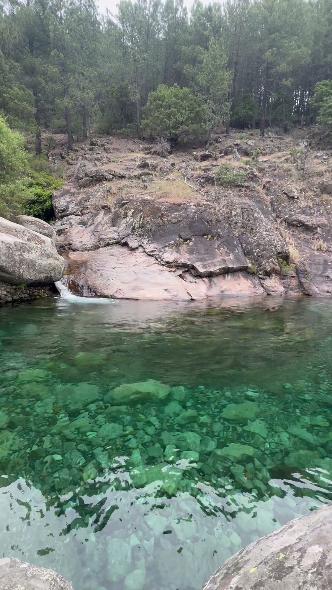 Poza de agua cristalina entre rocas y pinos cerca de Cabañas Crisol