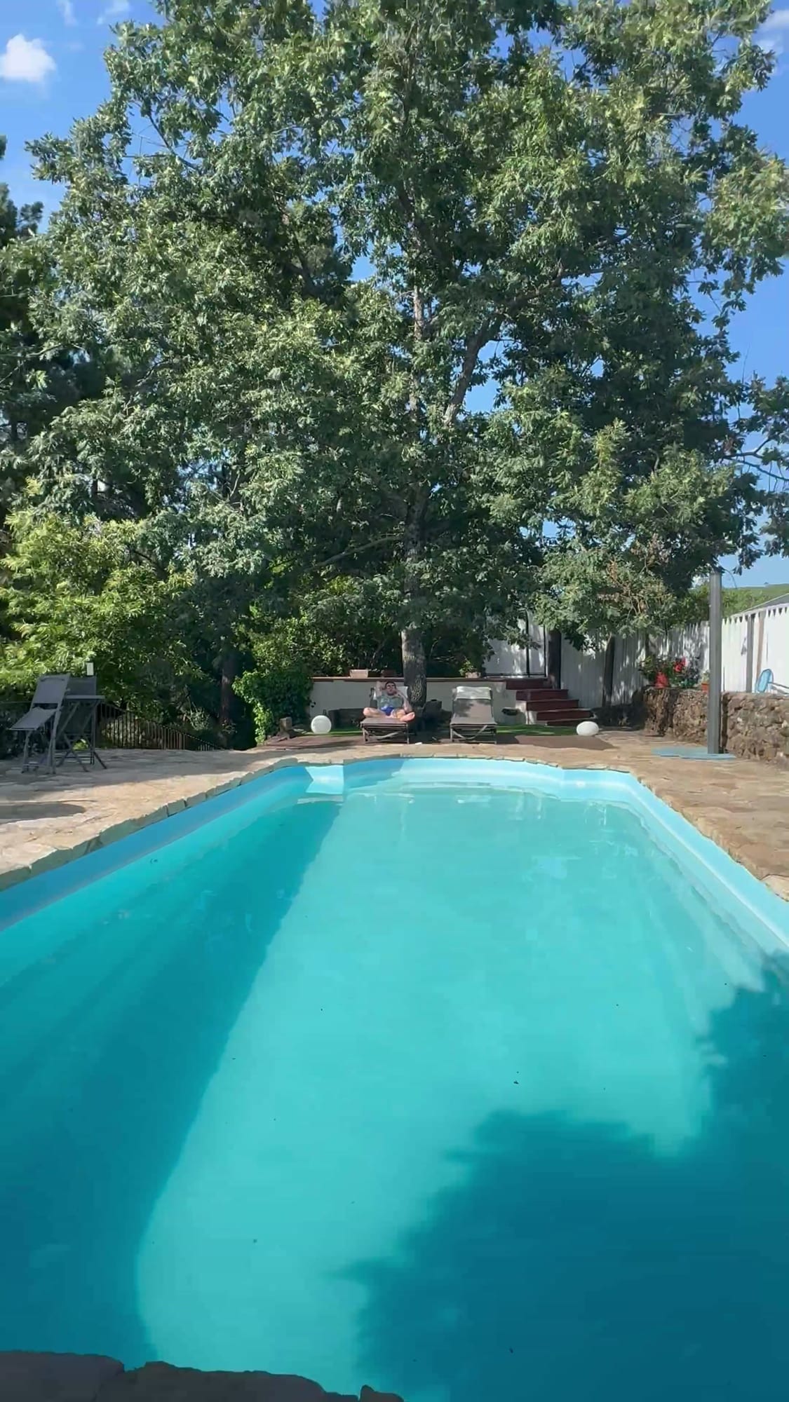 Piscina de agua turquesa bajo un gran árbol en Cabañas Crisol