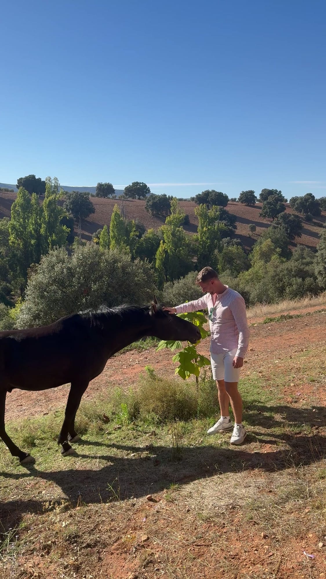 Javier Sobrino dando de comer a un caballo negro en la finca de Cork Valley