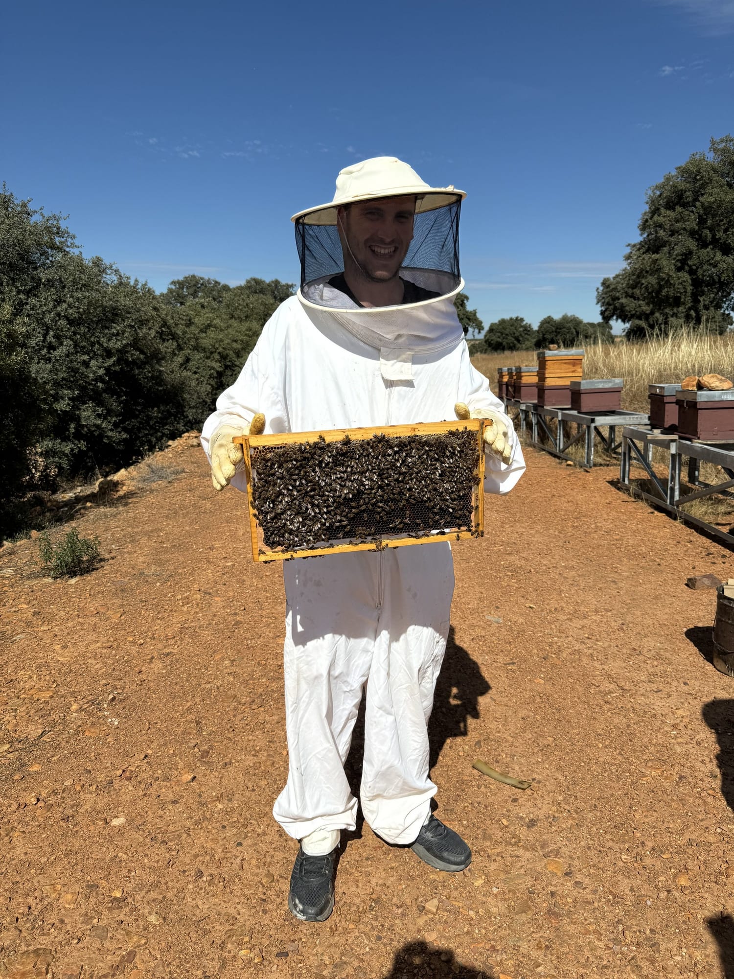 Javier Sobrino con traje de apicultor y un cuadro de panal en la actividad de apicultura de Cork Valley