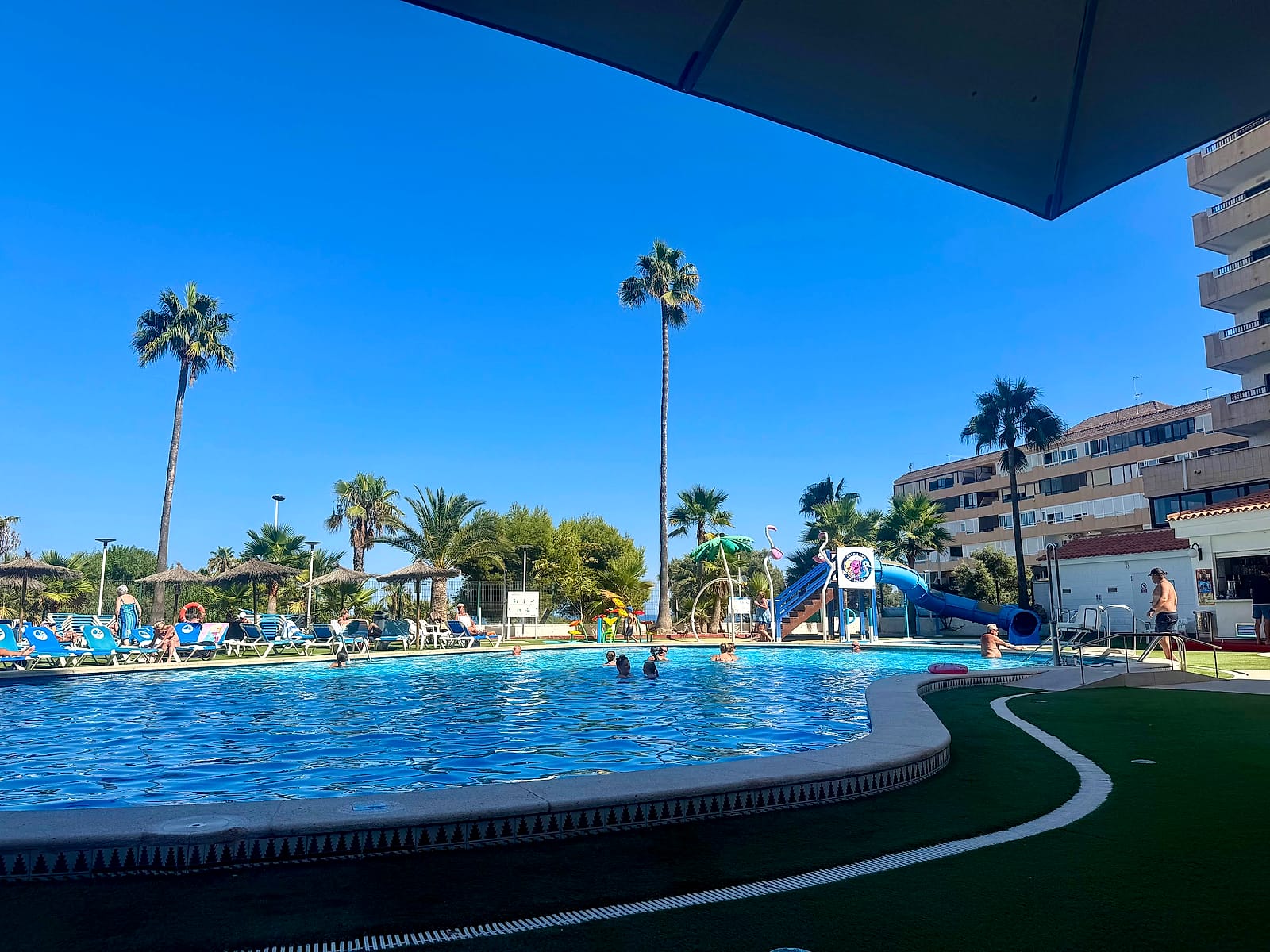 La piscina principal del Hotel Playas de Torrevieja, con césped, tumbonas y palmeras