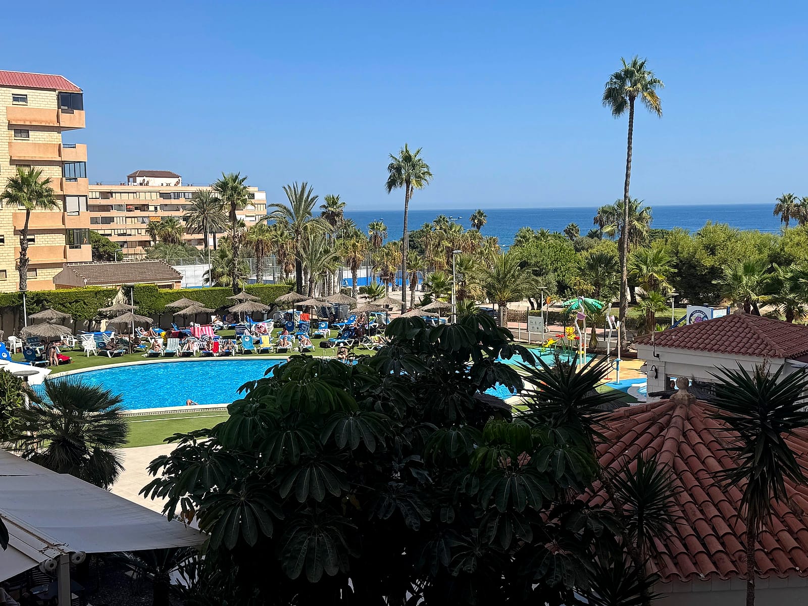 Vistas desde la habitación del Hotel Playas de Torrevieja: la piscina, las palmeras y el mar al fondo