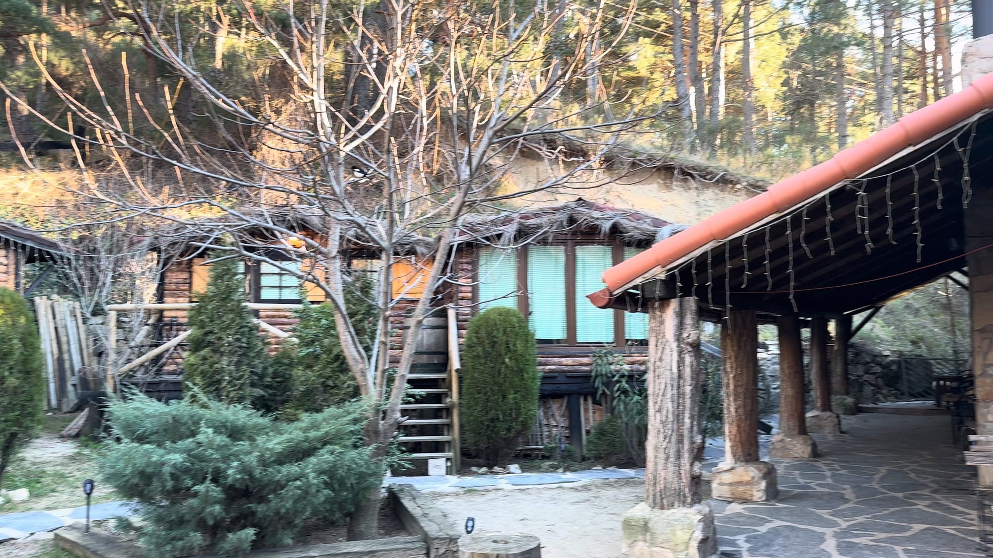 Cabañas de madera entre pinos y porche de tejas en La Posada de Cercedilla