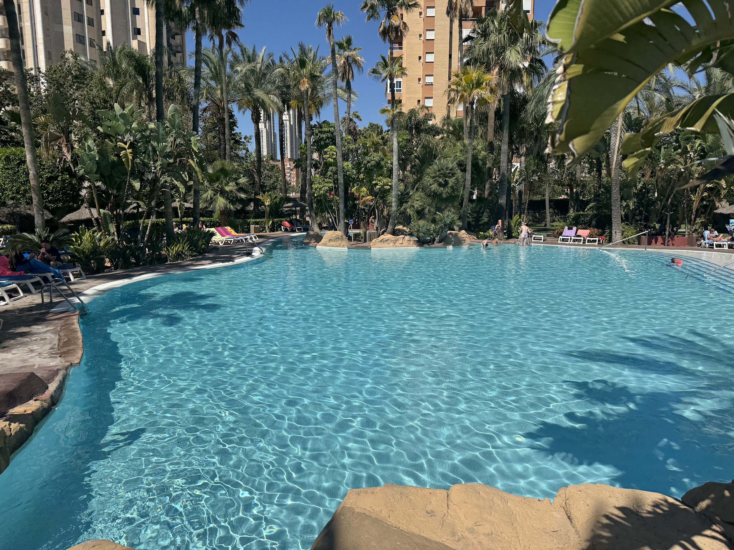Piscina de agua cristalina del Meliá Benidorm rodeada de palmeras bajo cielo azul