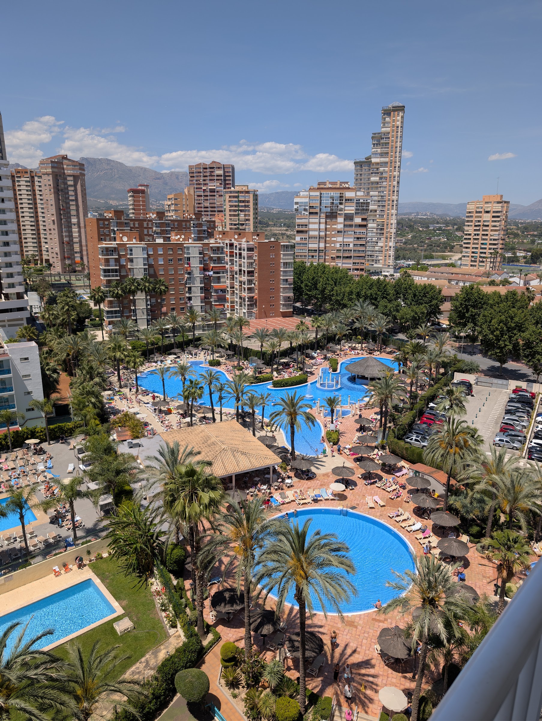 Vistas desde la habitación a las piscinas y palmeras del Sol Pelícanos Ocas, con Benidorm y la sierra detrás
