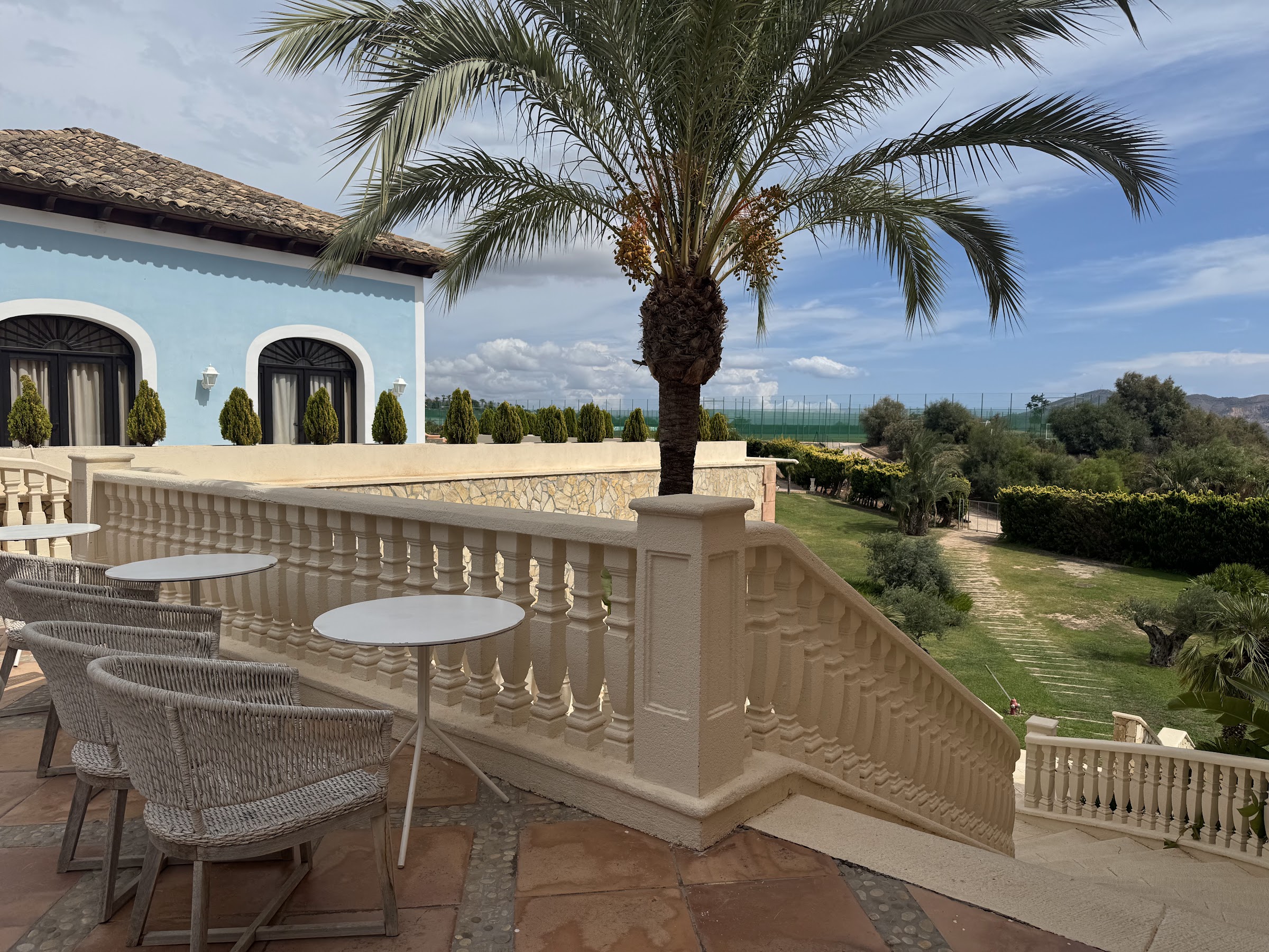 Terraza con palmera y vistas al jardín del Meliá Villaitana