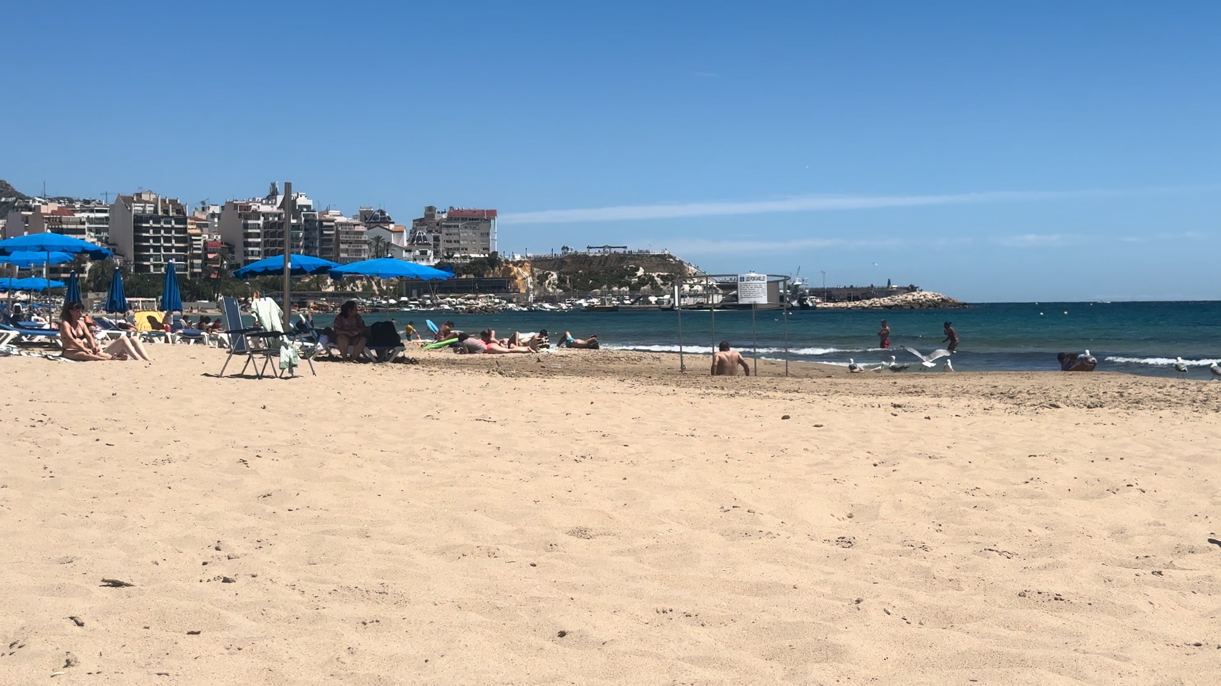 Arena de la Playa de Poniente de Benidorm frente al Hotel Villa del Mar