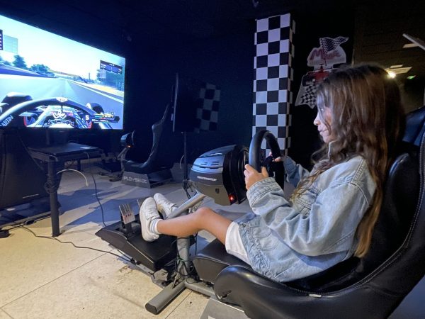 Game Experience
