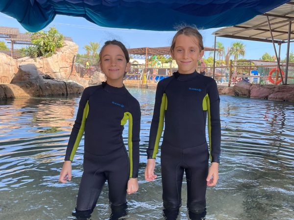 00c4ecd9-0af8-45d4-927c-3ff050c8a663