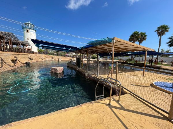 4a826e85-7eca-4d21-a7e5-973f20c400ae