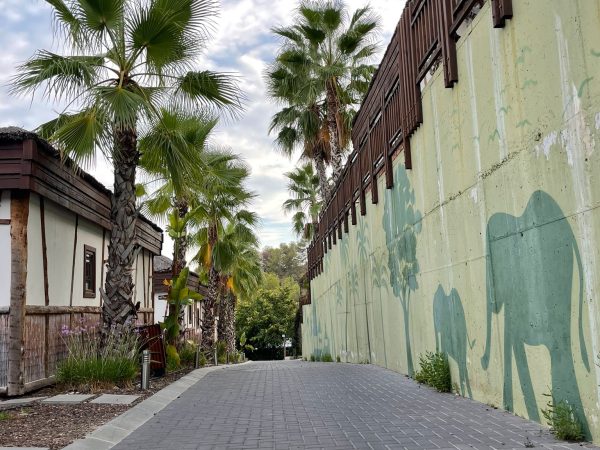 961c57a8-9e18-4bf1-8b0a-77dec83f193b