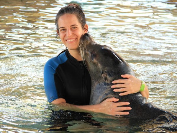 990c3e38-6dce-4044-bfcb-7c14ad295585