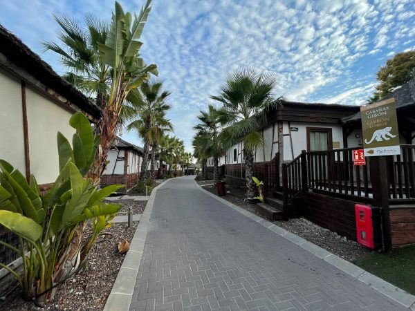 c5ddcccc-d160-4353-9d44-f242819322cb