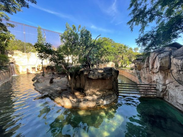 f57fe549-01cf-468c-b0db-3e479797f693